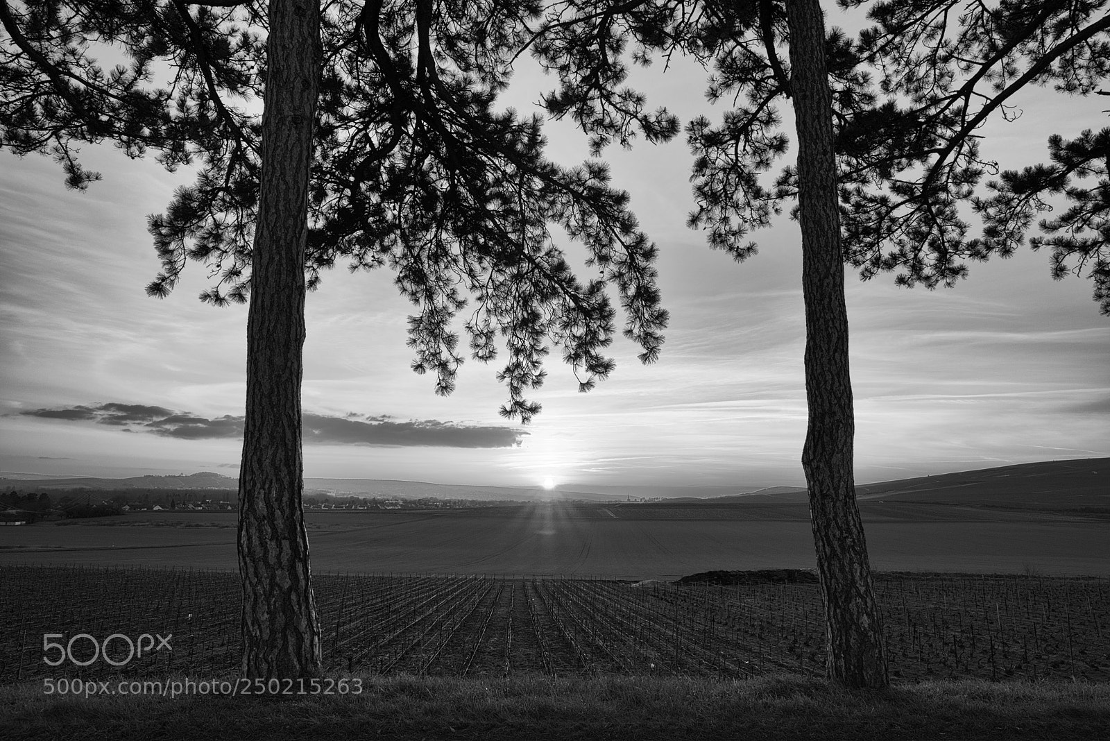 Pentax K-1 sample photo. Two at sunset photography