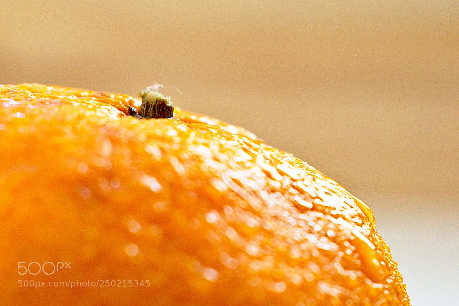 Nikon D5600 sample photo. Salade de fruits: l'orange photography