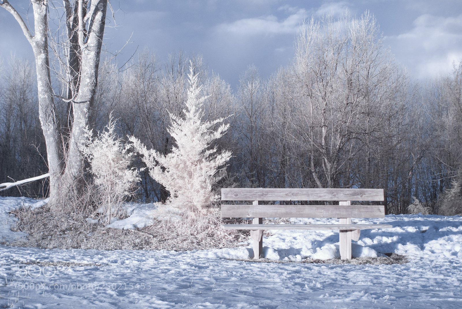 Nikon D40X sample photo. Ir winter bench photography