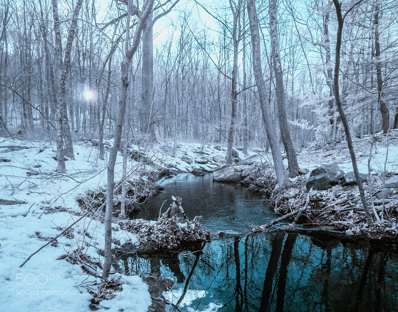Nikon D40X sample photo. Ir forest stream in photography