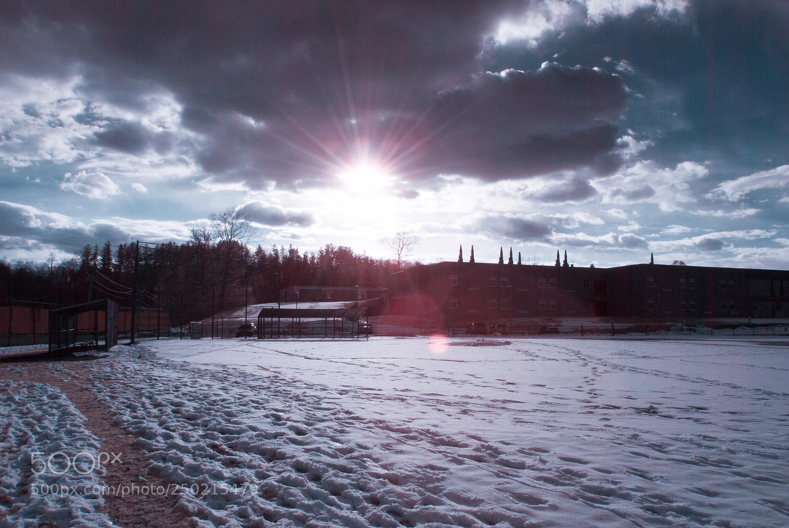 Nikon D40X sample photo. It photography