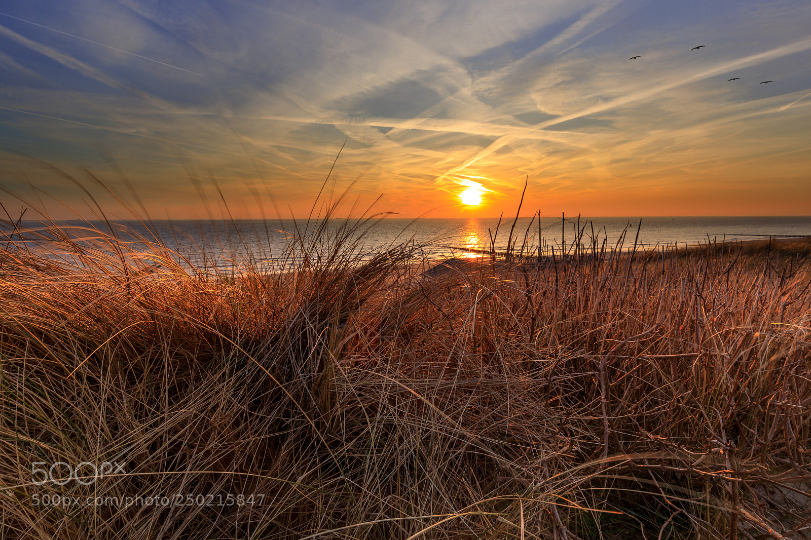 Canon EOS 5D Mark IV sample photo. Sonnenuntergang in den d photography