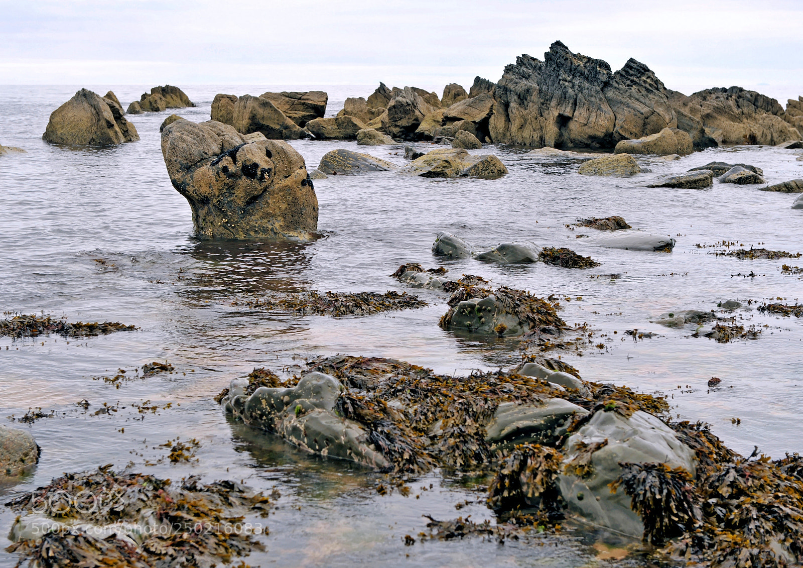 Nikon D700 sample photo. Kinnagoe bay irlande photography
