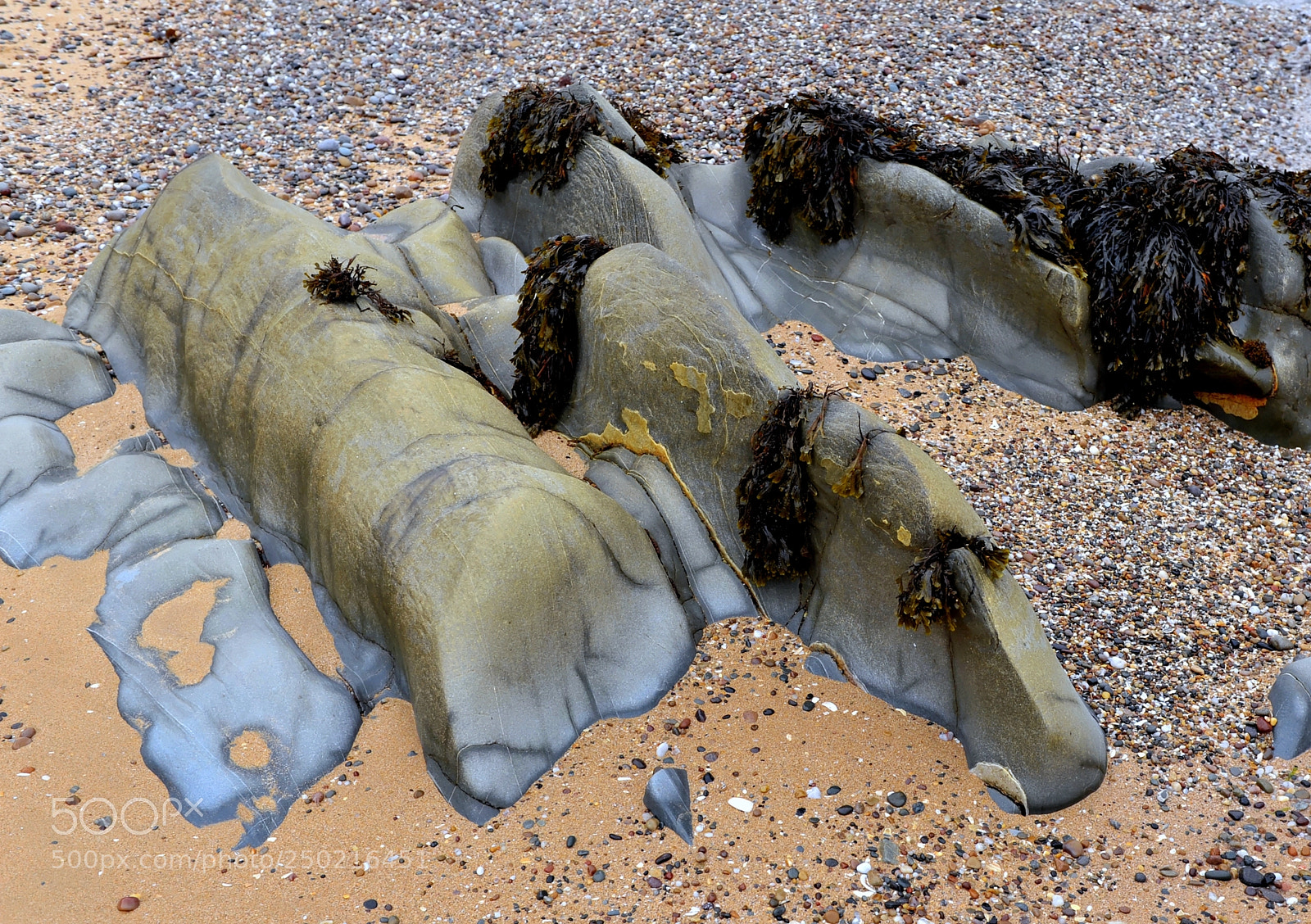 Nikon D700 sample photo. Kinnagoe bay irlande photography