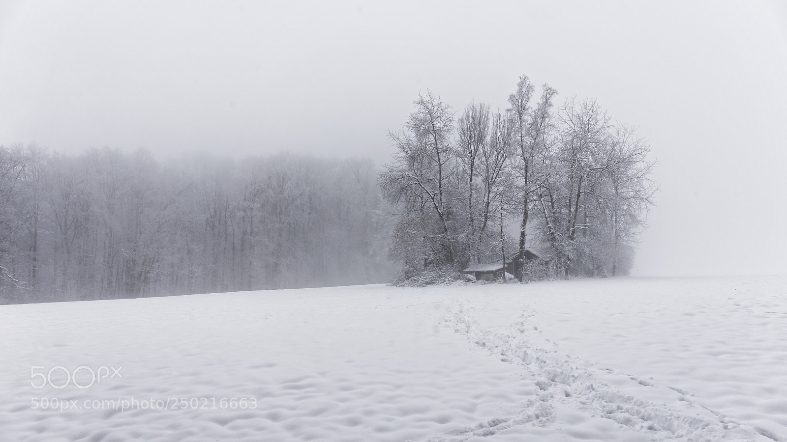 Sony a7 sample photo. Winter house photography