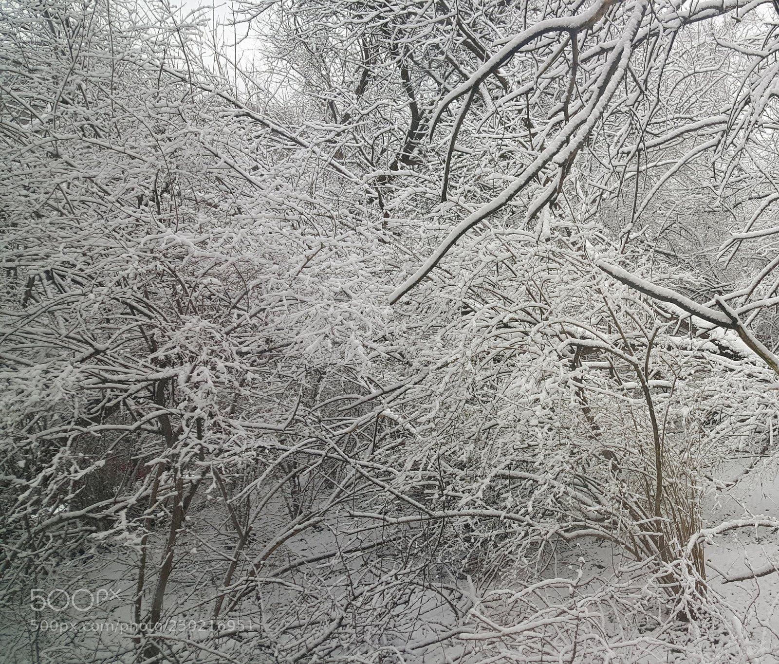 Samsung Galaxy S6 sample photo. Untitled photography
