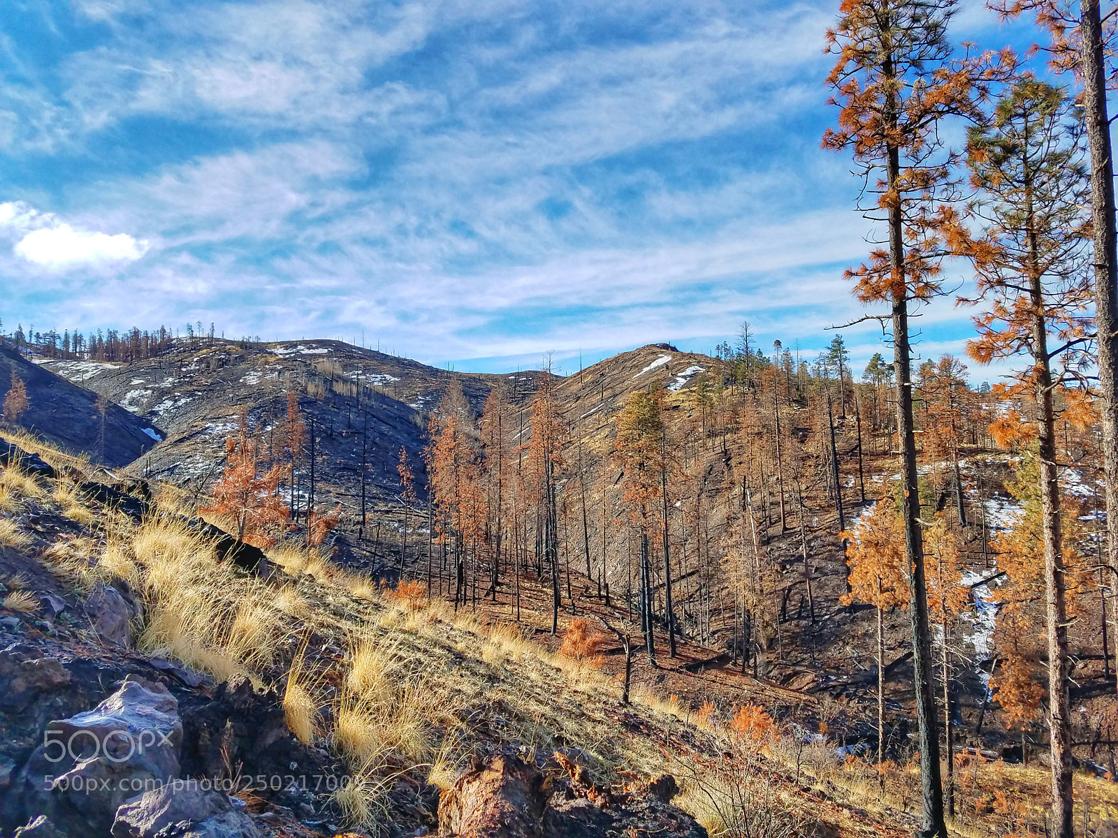 Samsung Galaxy S7 sample photo. Mountainside photography