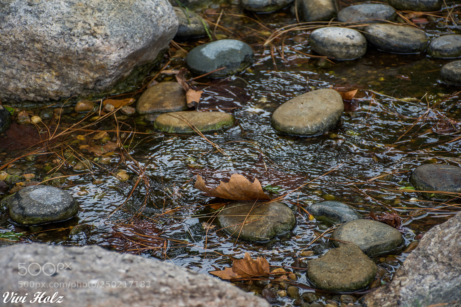 Nikon D7200 sample photo. Otoño photography