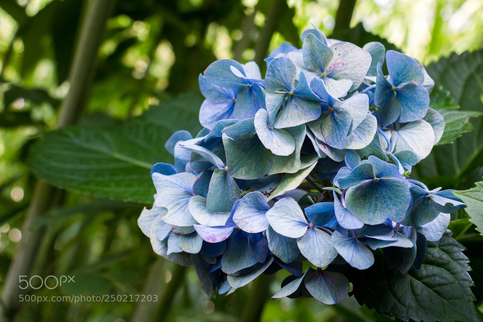 Canon EOS 70D sample photo. On the edge photography
