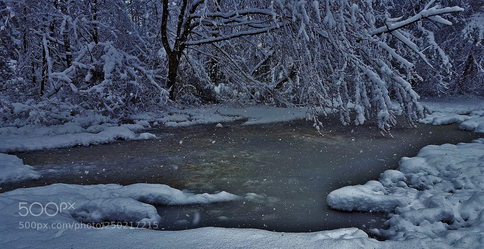 Samsung Galaxy S6 sample photo. Winter forest scene 2018 photography