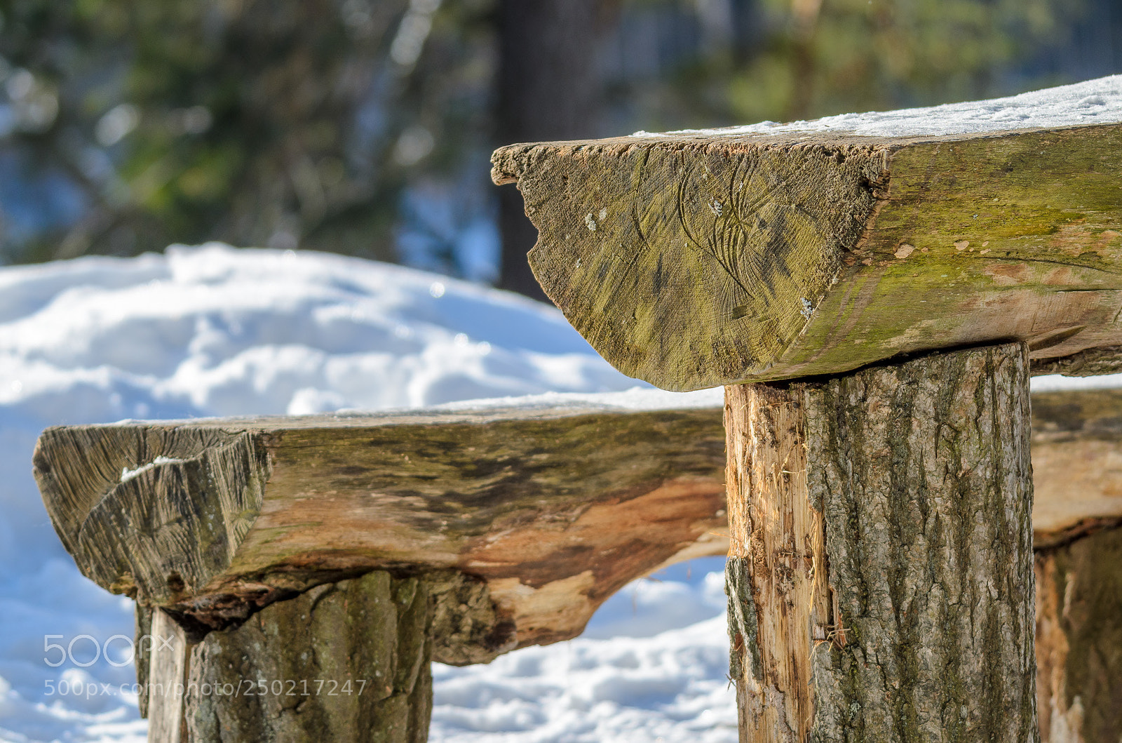 Nikon D7000 sample photo. Log table photography