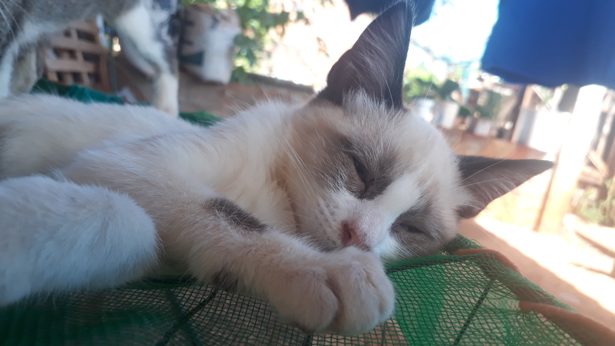 Samsung Galaxy J7 Prime sample photo