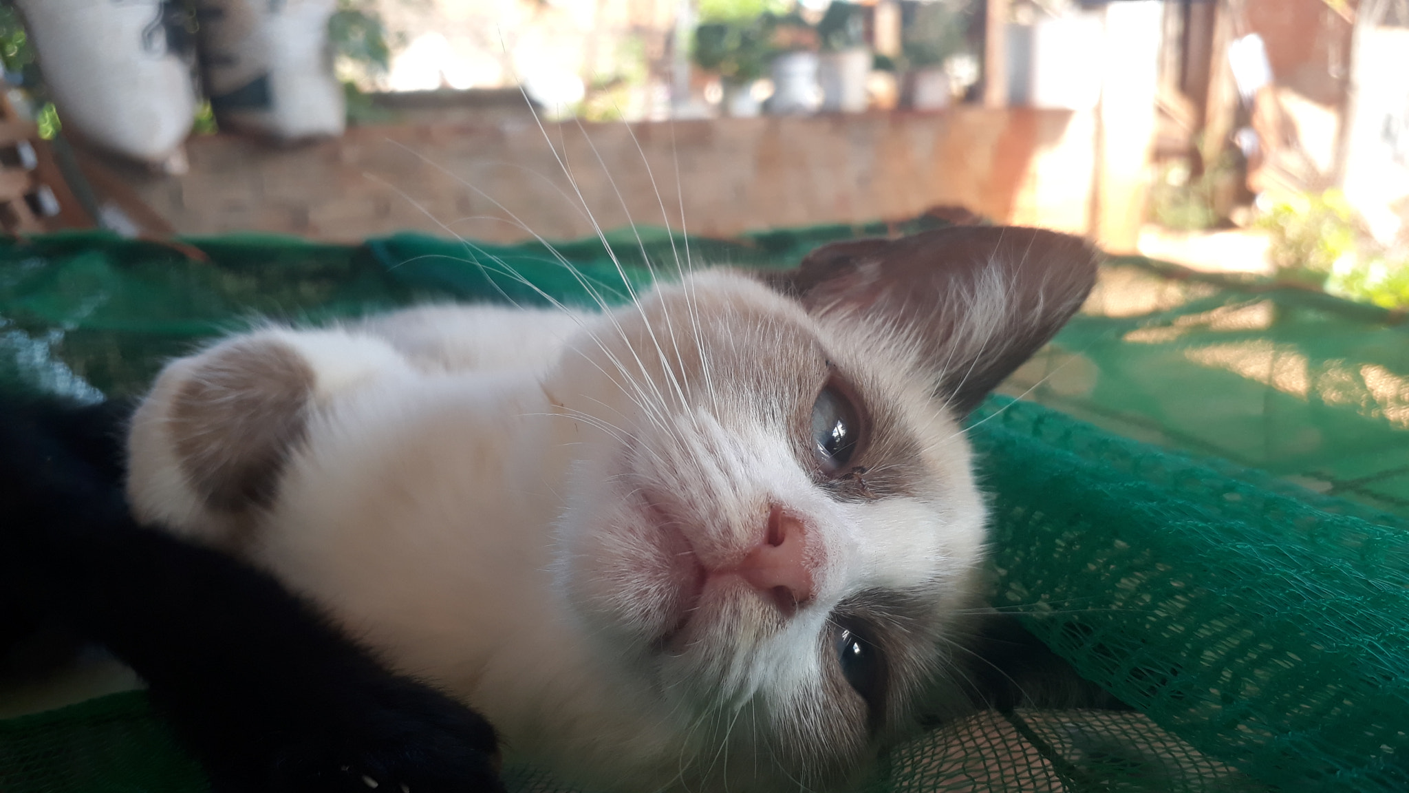 Samsung Galaxy J7 Prime sample photo