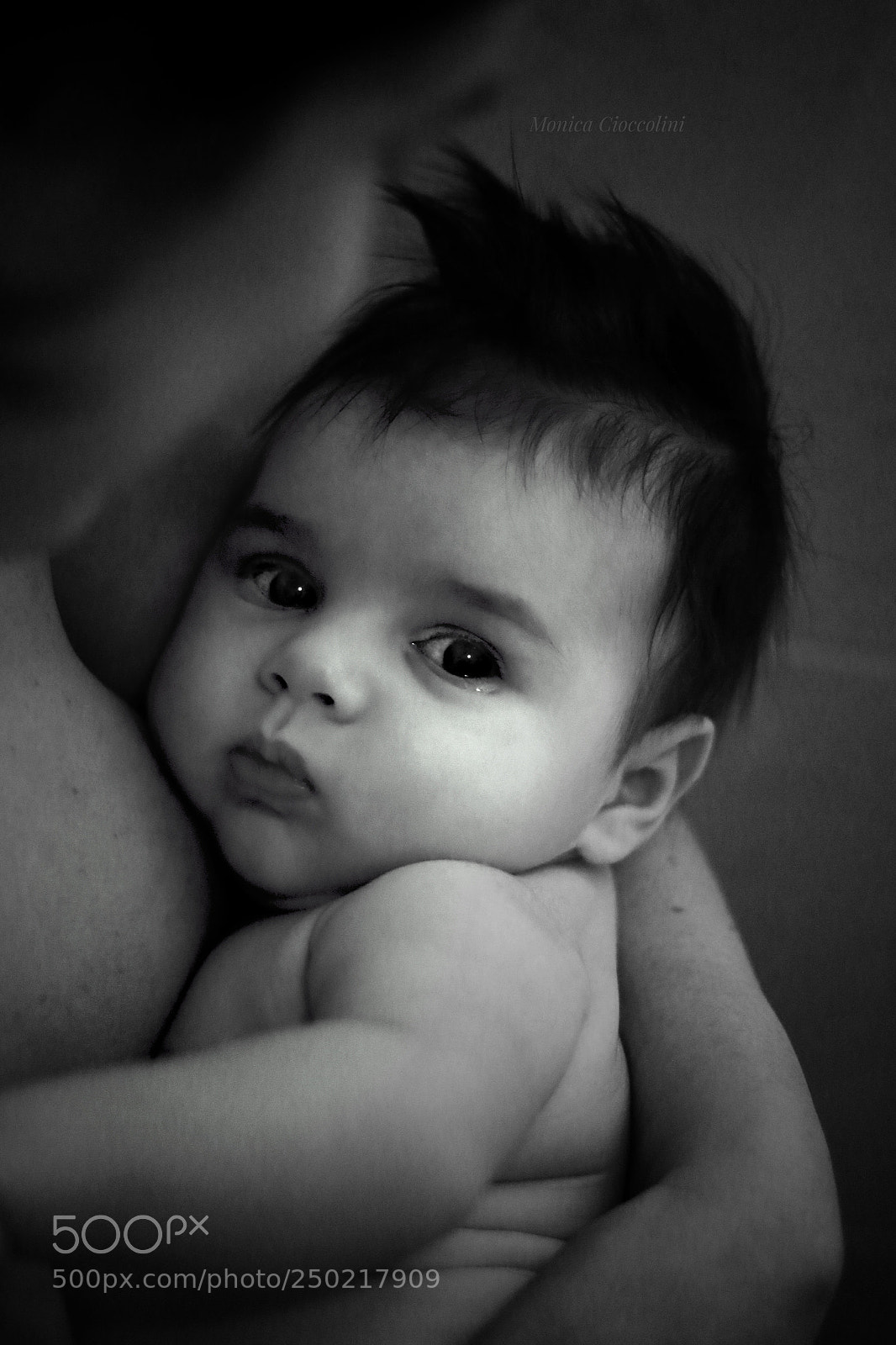 Canon EOS 70D sample photo. Vita photography