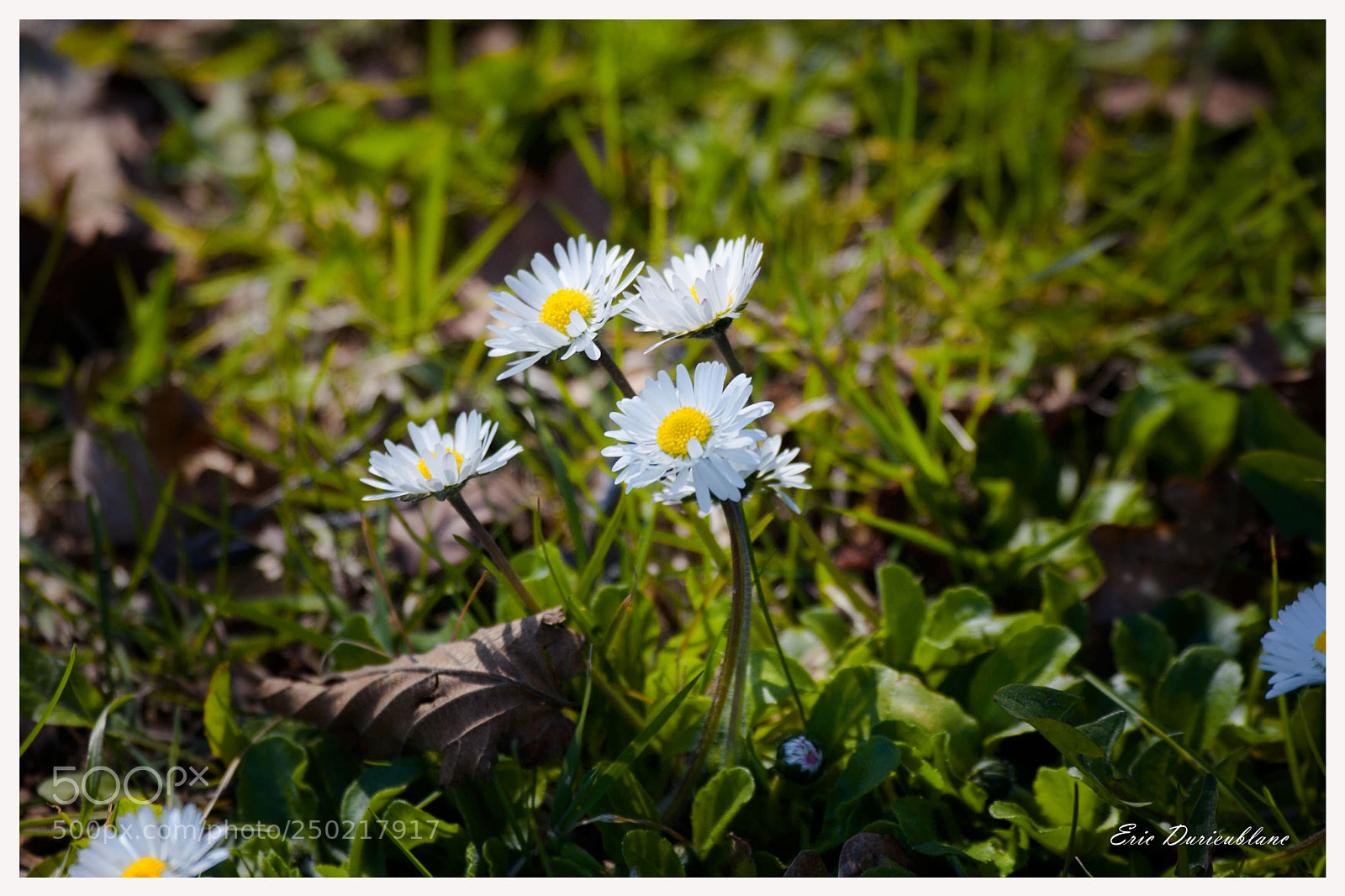 Canon EOS-1D Mark II sample photo. Untitled photography