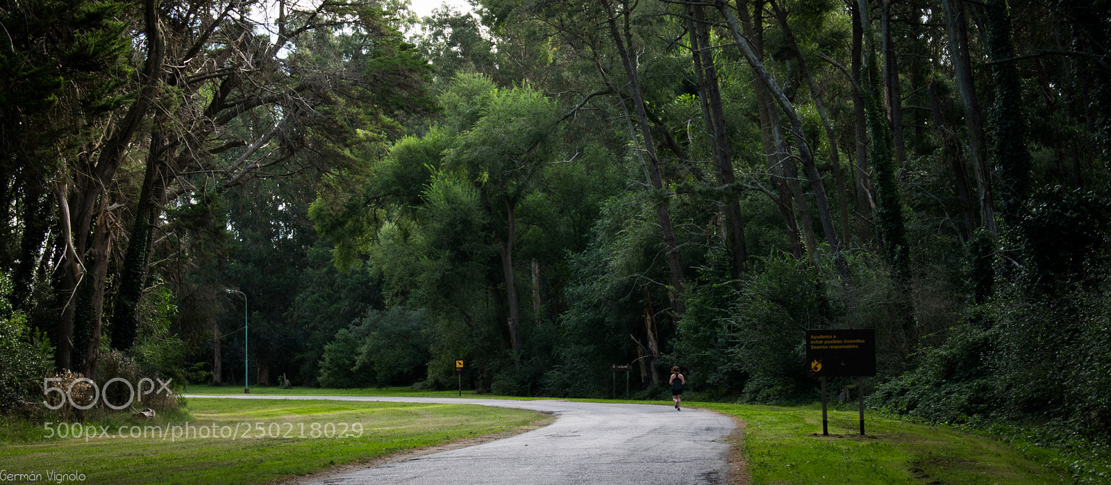Nikon D5300 sample photo. Life! photography