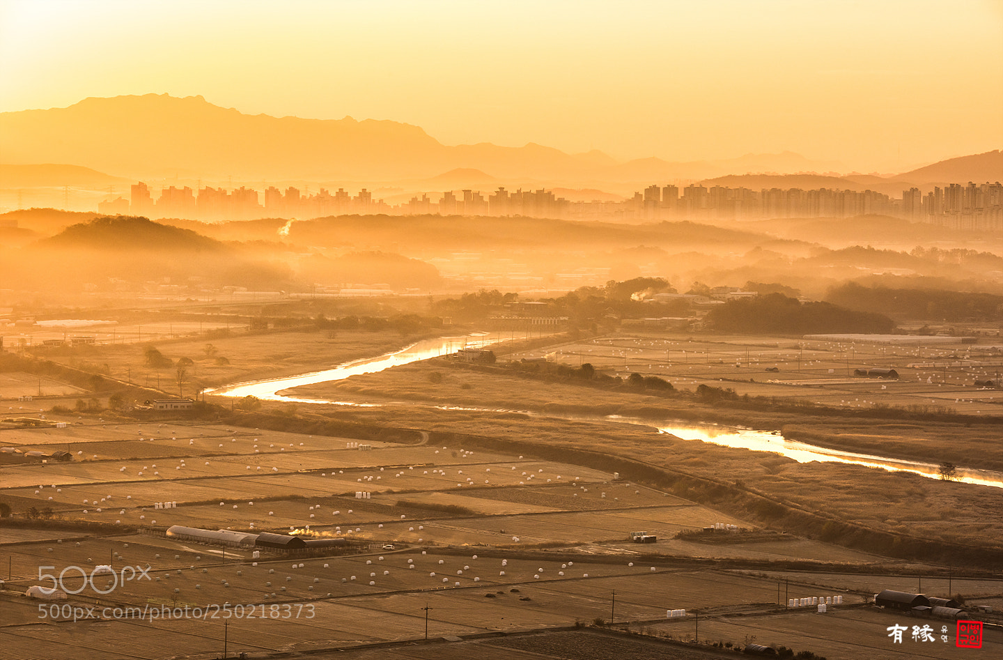 Nikon D810 sample photo. . photography
