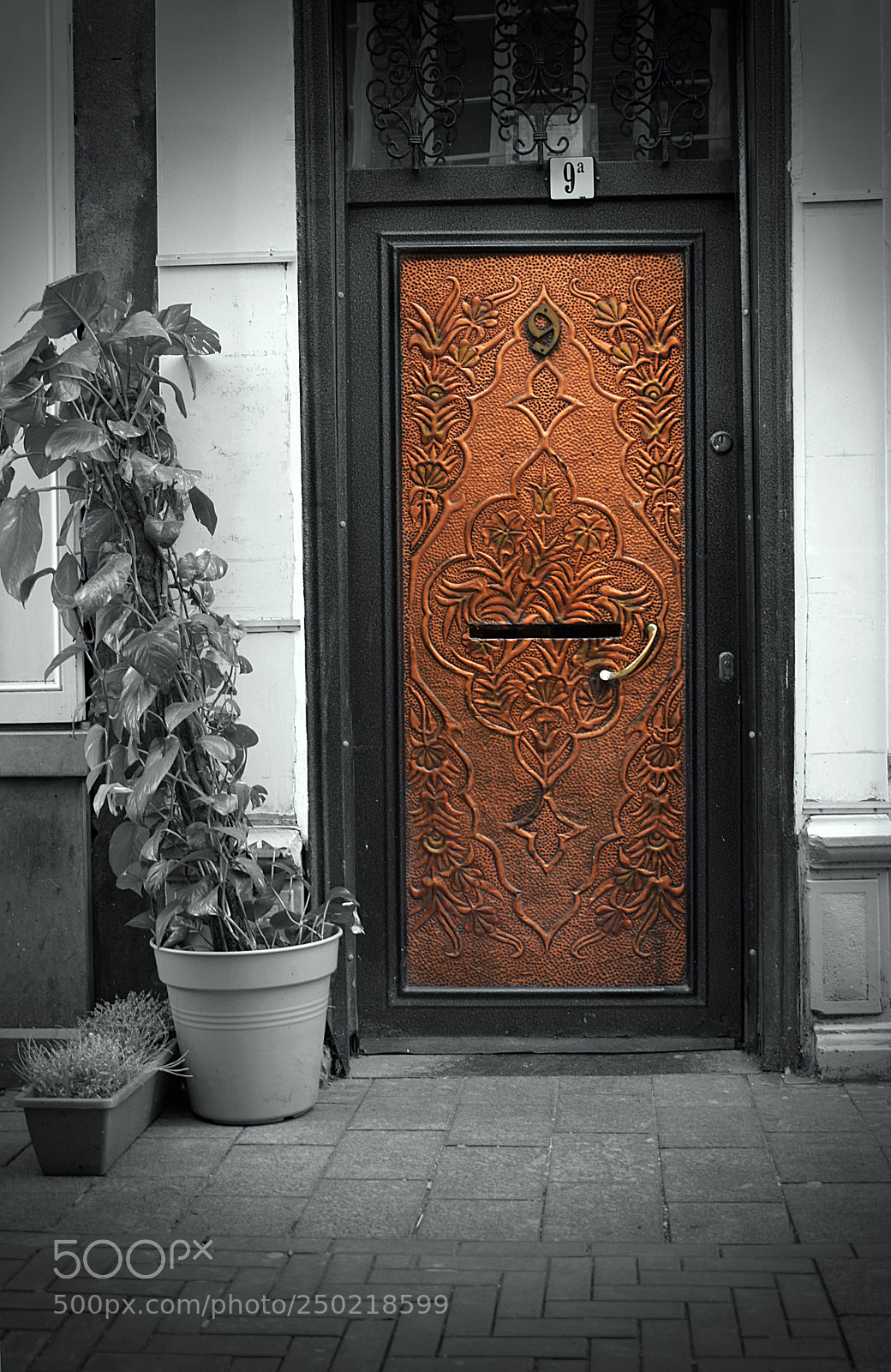 Nikon D3300 sample photo. 9. the golden door. photography