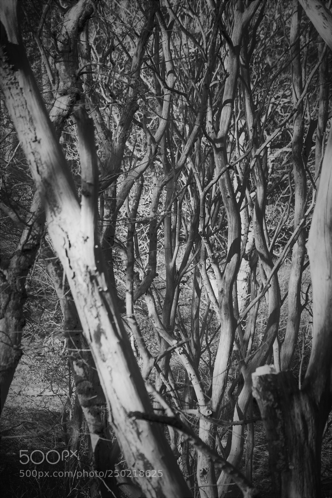 Nikon D3300 sample photo. Shades of tomorrow photography