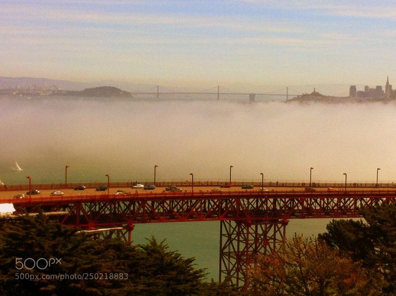 Apple iPhone 4 sample photo. Foggy afternoon view of photography