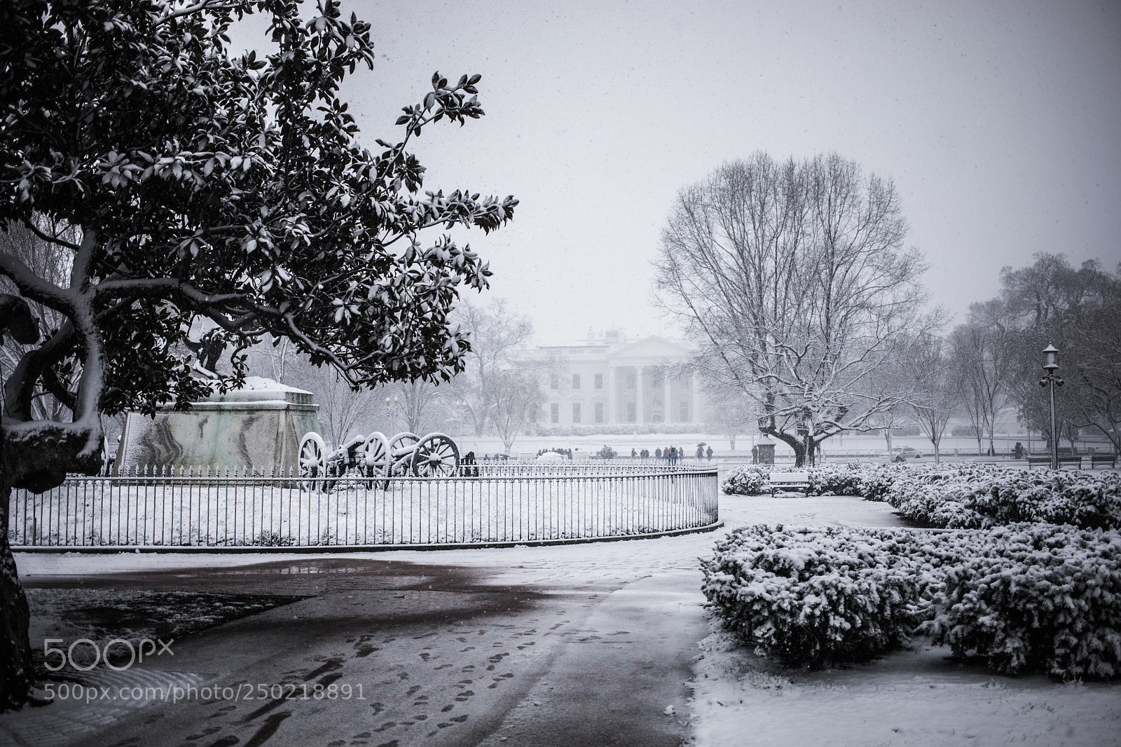 Canon EOS 5D Mark IV sample photo. Snow day in dc photography
