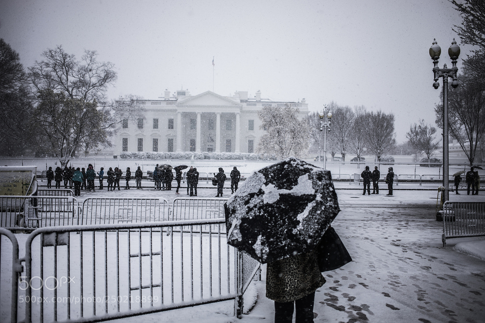 Canon EOS 5D Mark IV sample photo. Snow day in dc photography