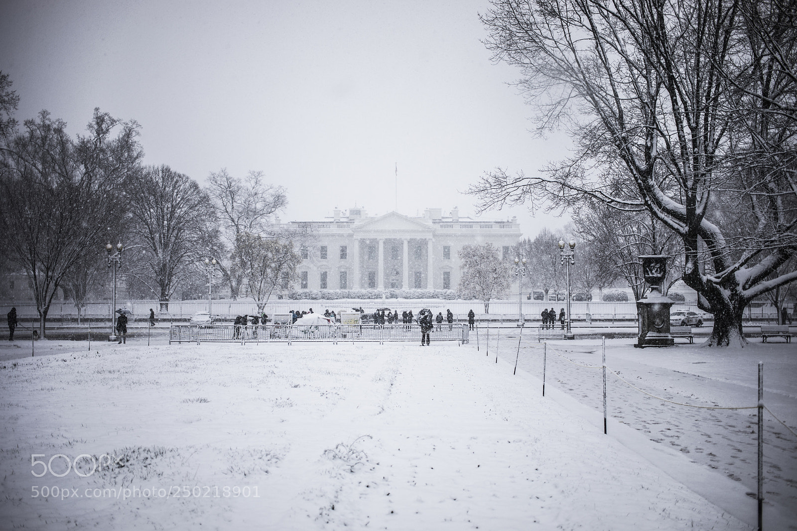 Canon EOS 5D Mark IV sample photo. Snow day in dc photography