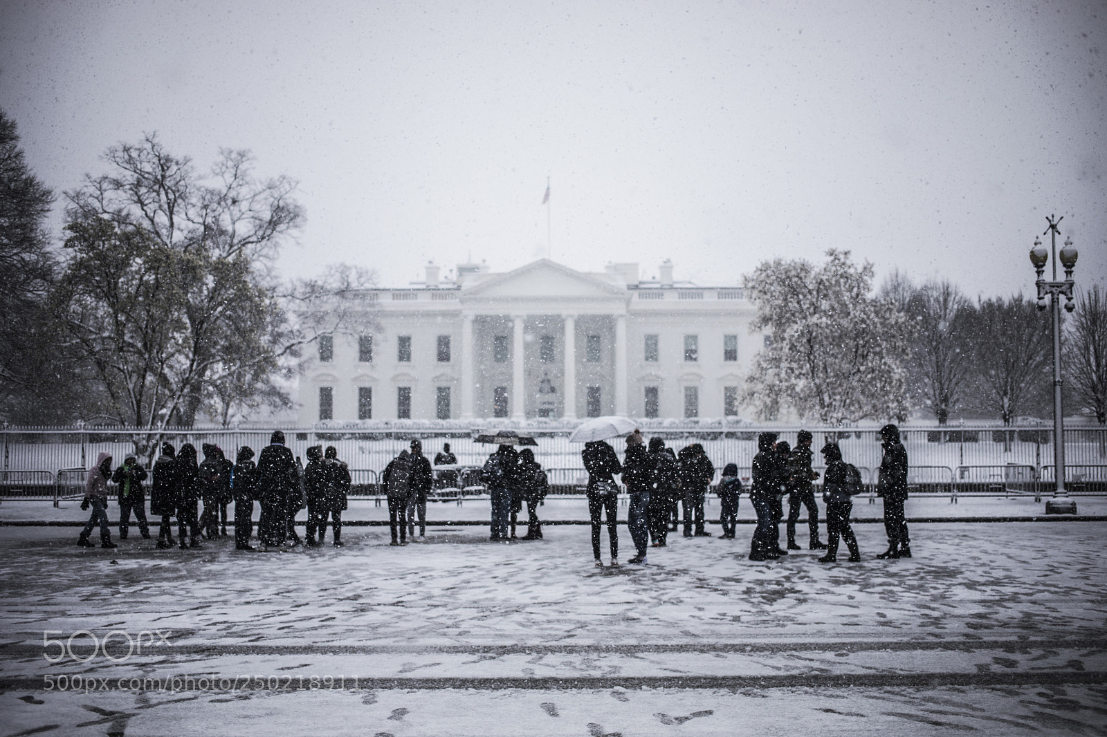 Canon EOS 5D Mark IV sample photo. Snow day in dc photography
