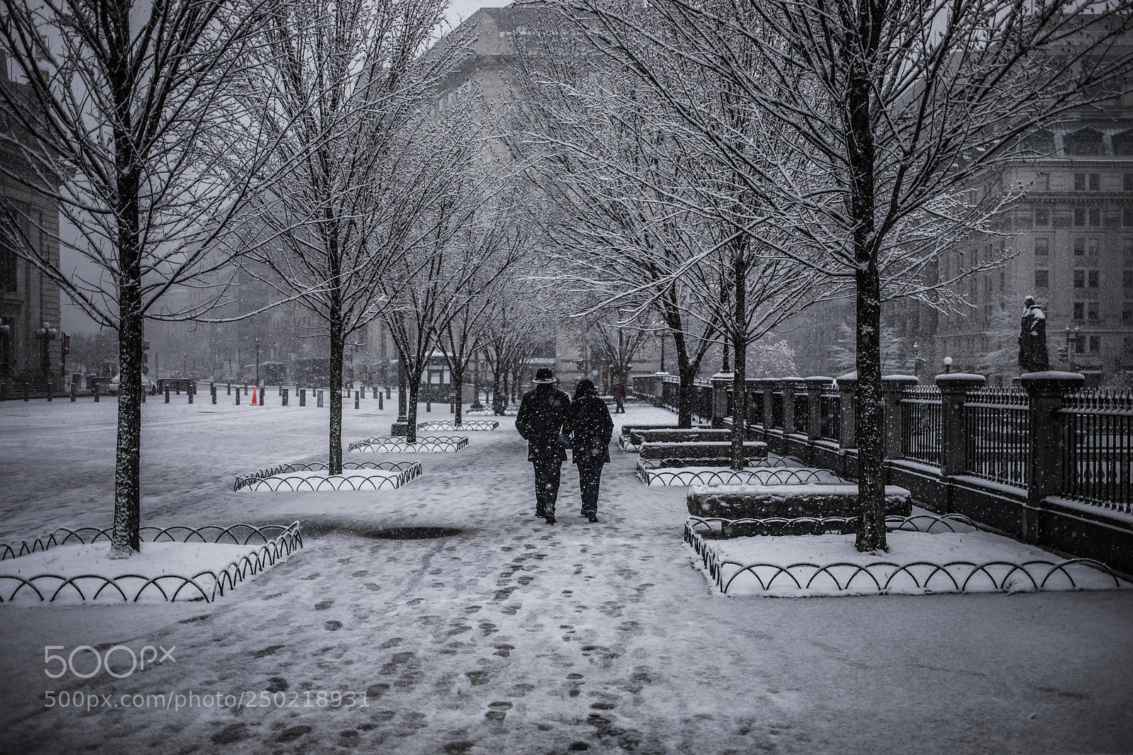 Canon EOS 5D Mark IV sample photo. Snow day in dc photography