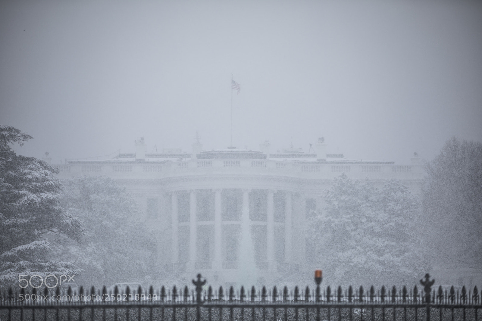 Canon EOS 5D Mark IV sample photo. Snow day in dc photography