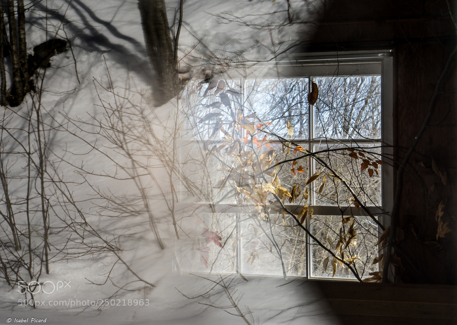 Sony a6000 sample photo. 3 saisons, impression de surimpression photography