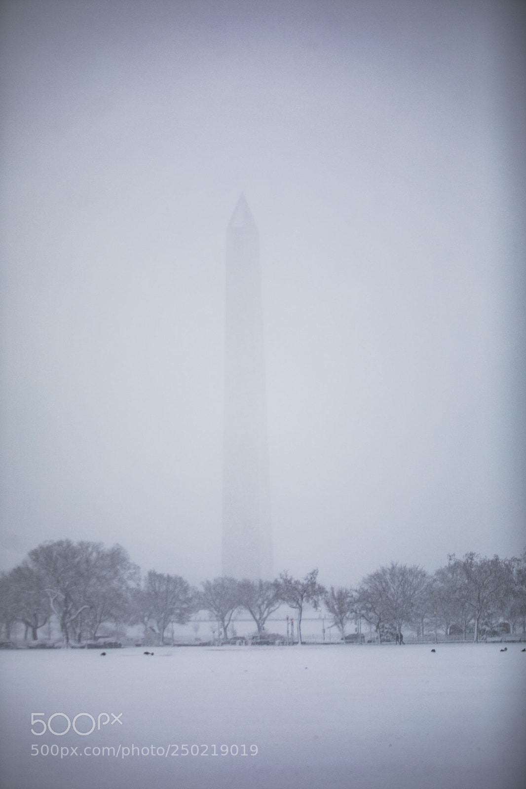 Canon EOS 5D Mark IV sample photo. Snow day in dc photography