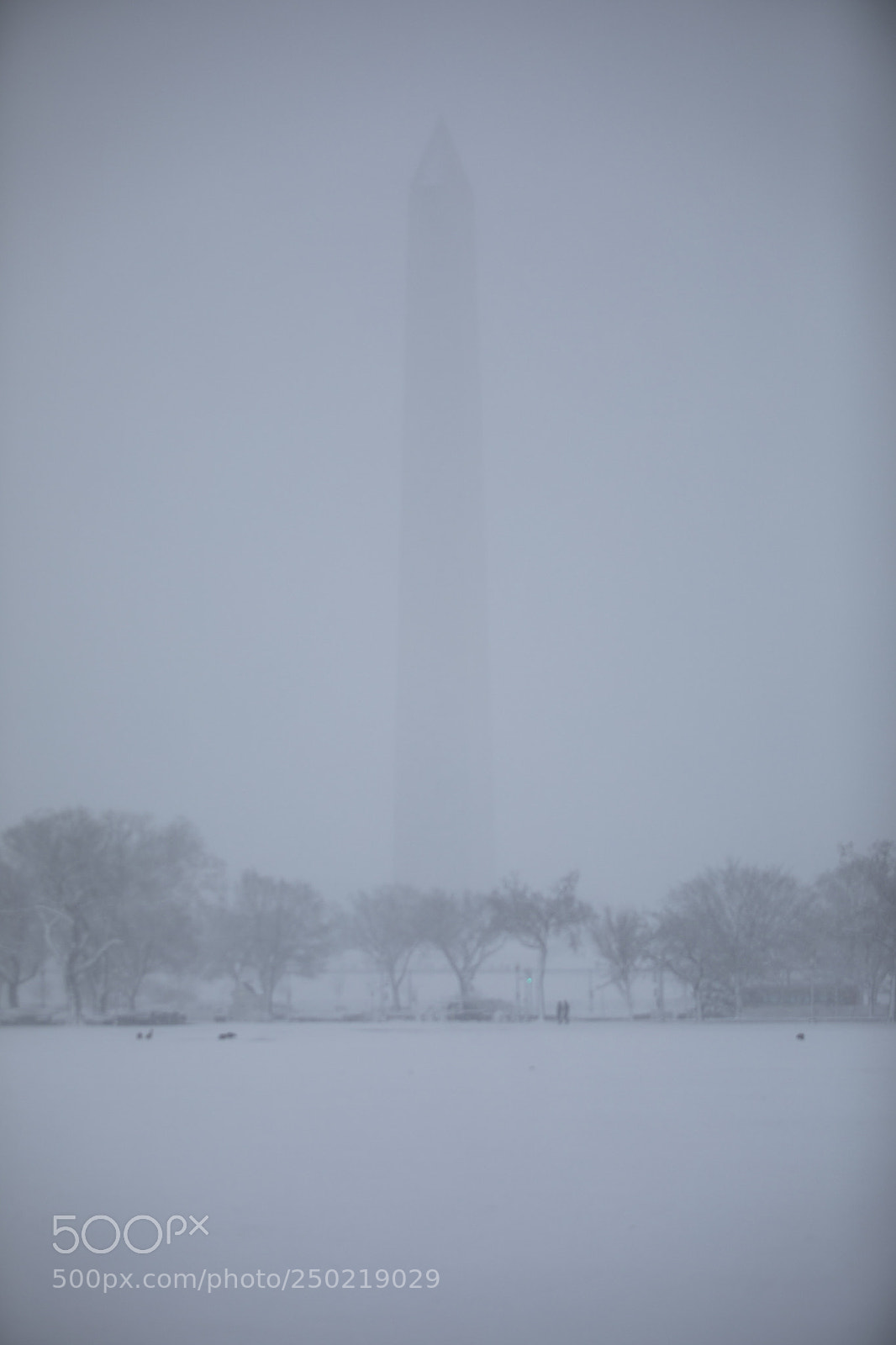 Canon EOS 5D Mark IV sample photo. Snow day in dc photography