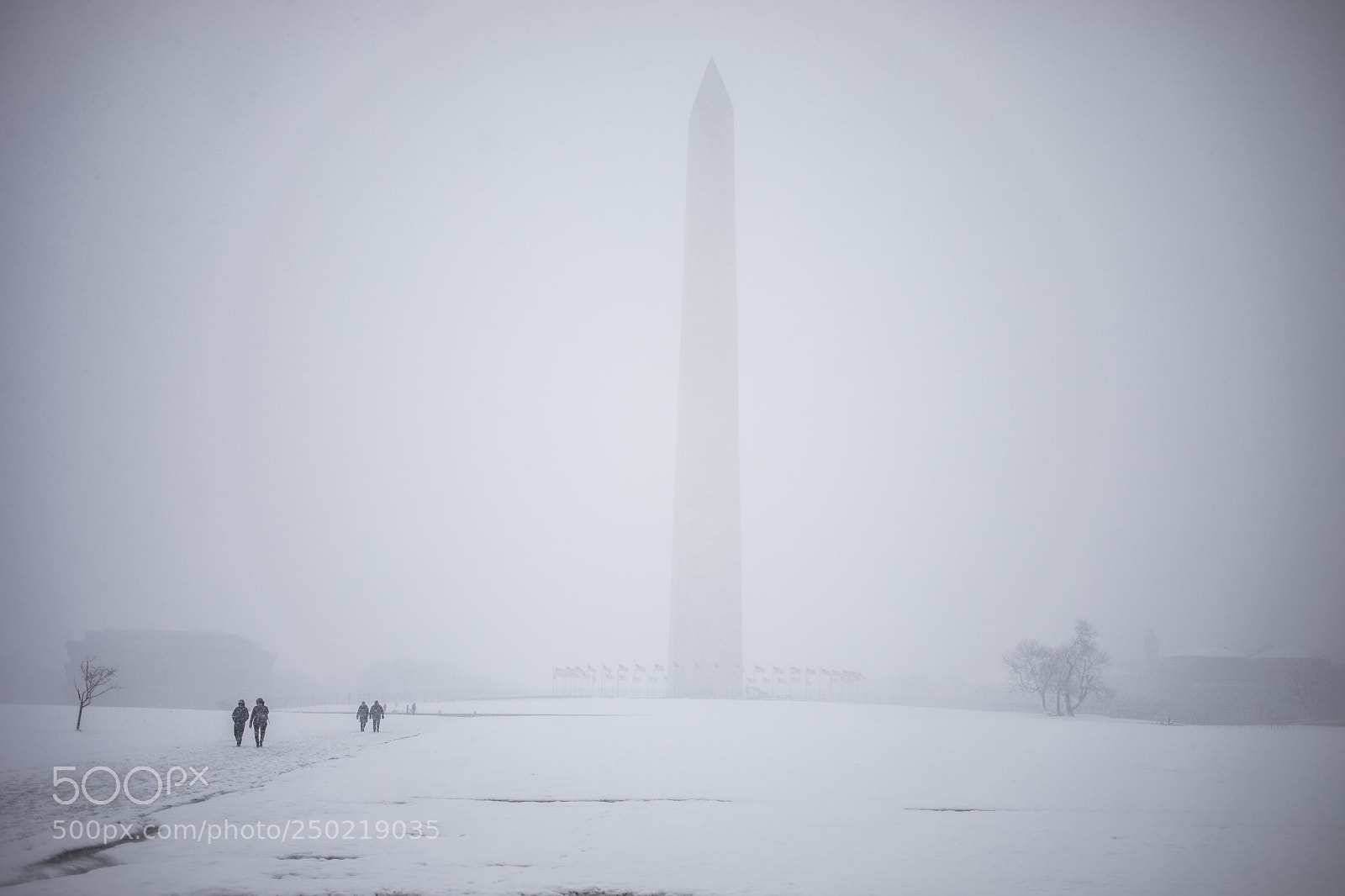 Canon EOS 5D Mark IV sample photo. Snow day in dc photography