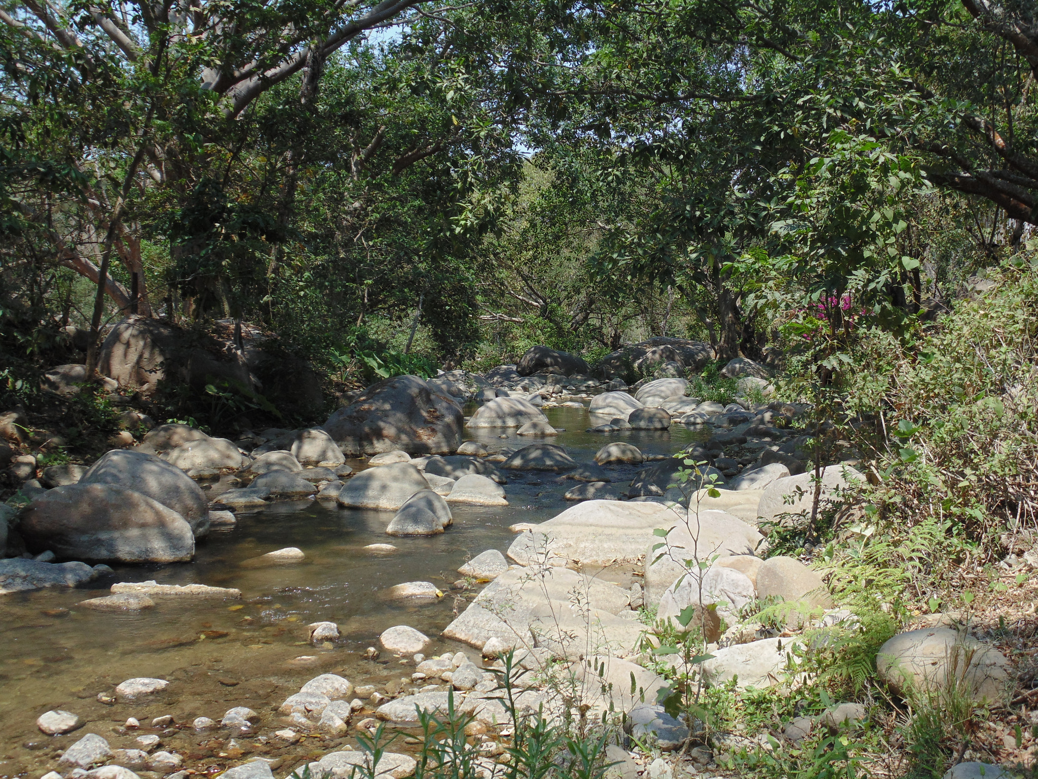 Sony Cyber-shot DSC-H200 sample photo. River in the mountain photography