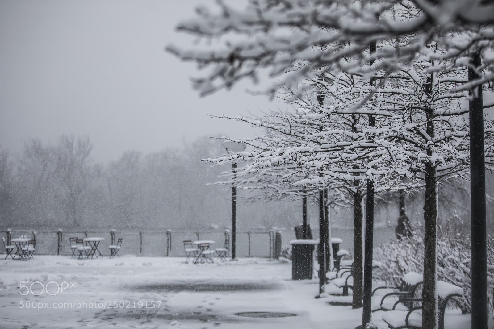 Canon EOS 5D Mark IV sample photo. Snow day in dc photography