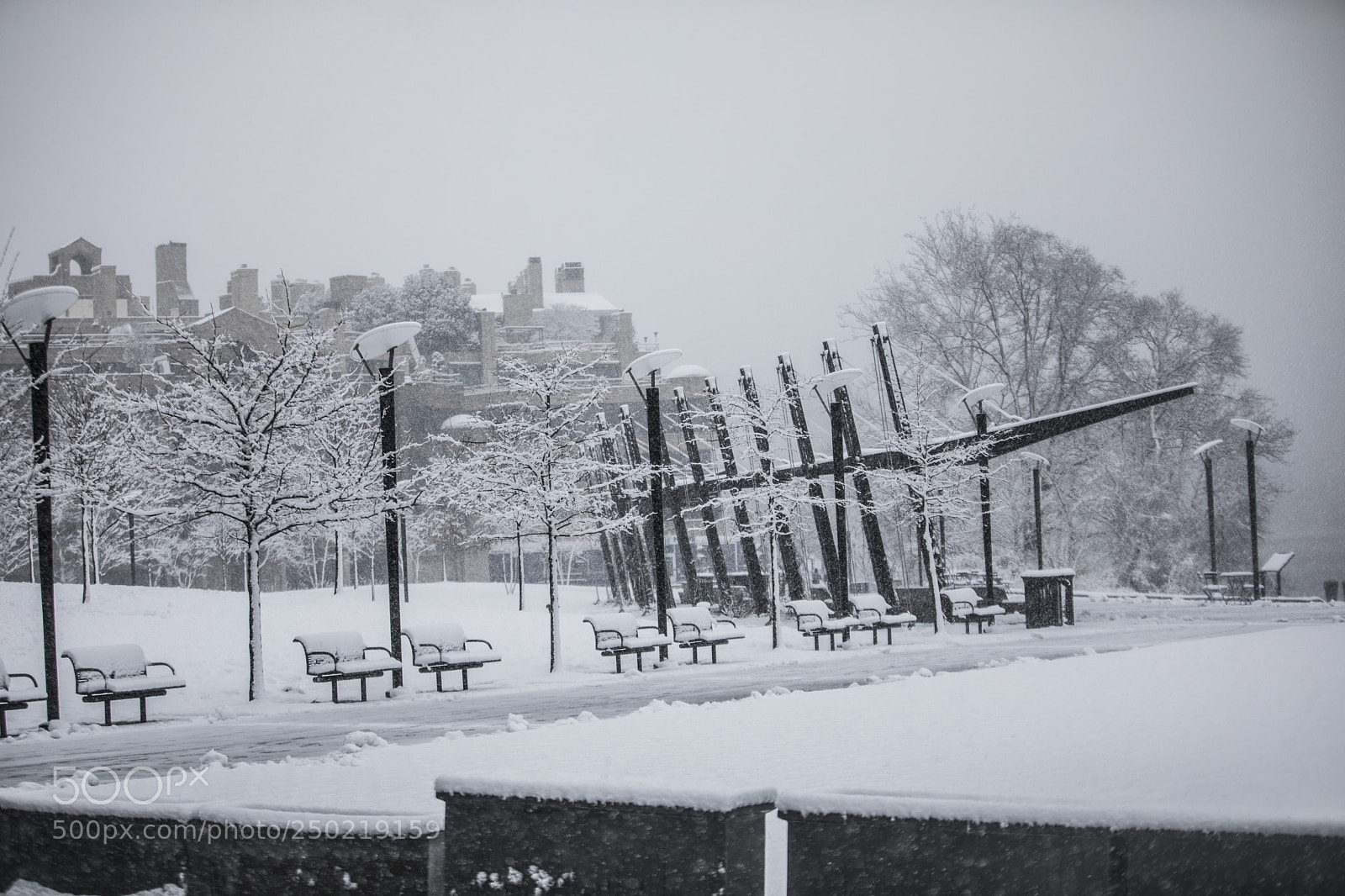 Canon EOS 5D Mark IV sample photo. Snow day in dc photography