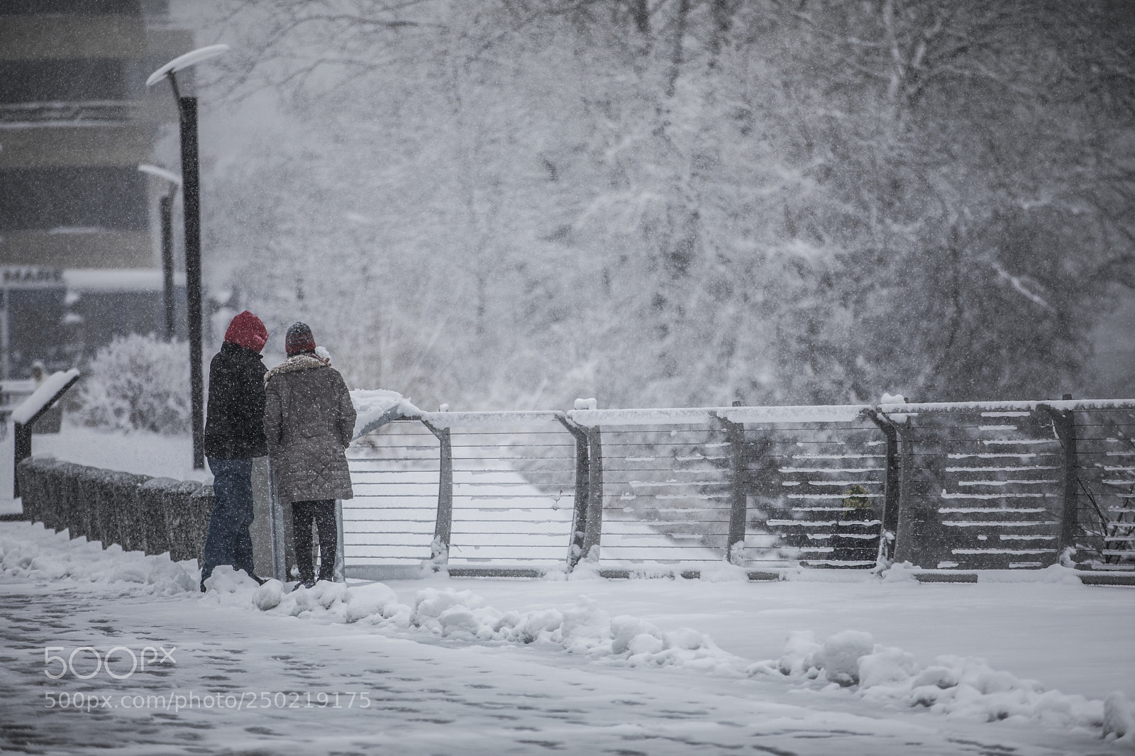 Canon EOS 5D Mark IV sample photo. Snow day in dc photography