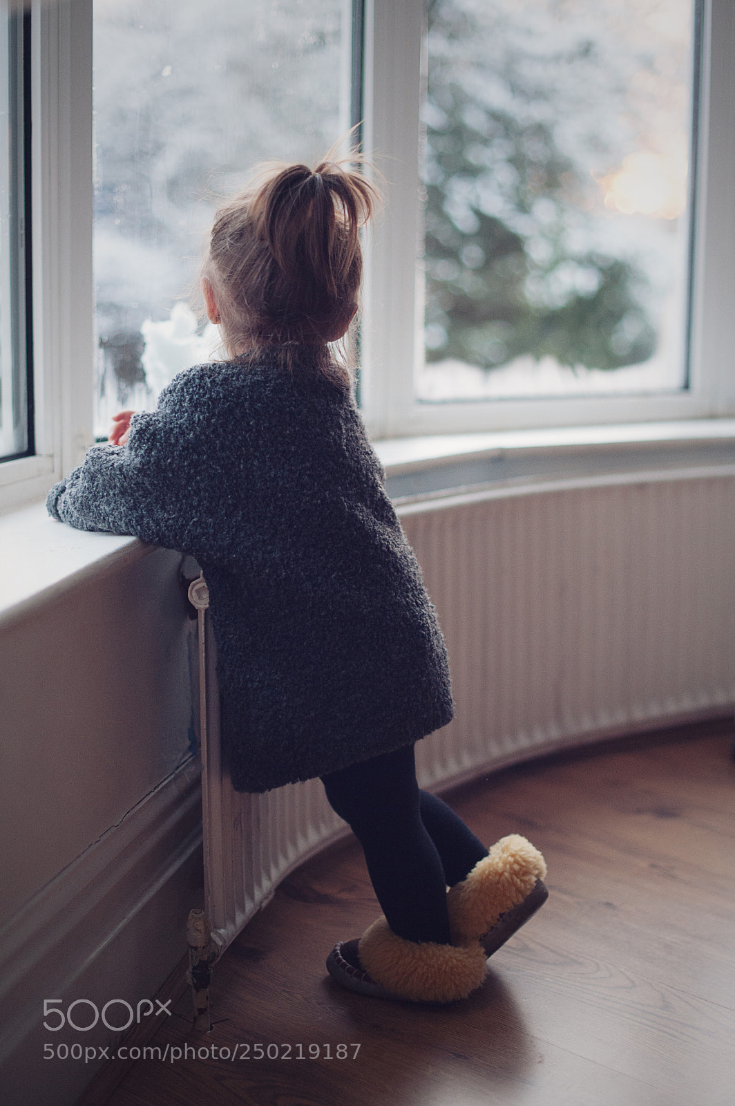 Nikon D3 sample photo. Winter photography