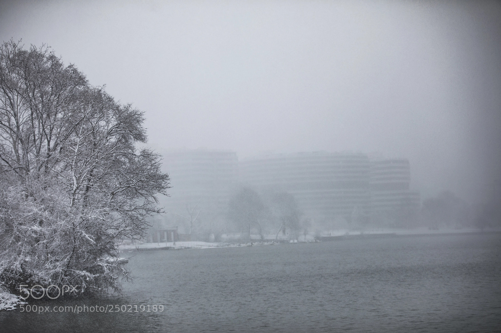 Canon EOS 5D Mark IV sample photo. Snow day in dc photography
