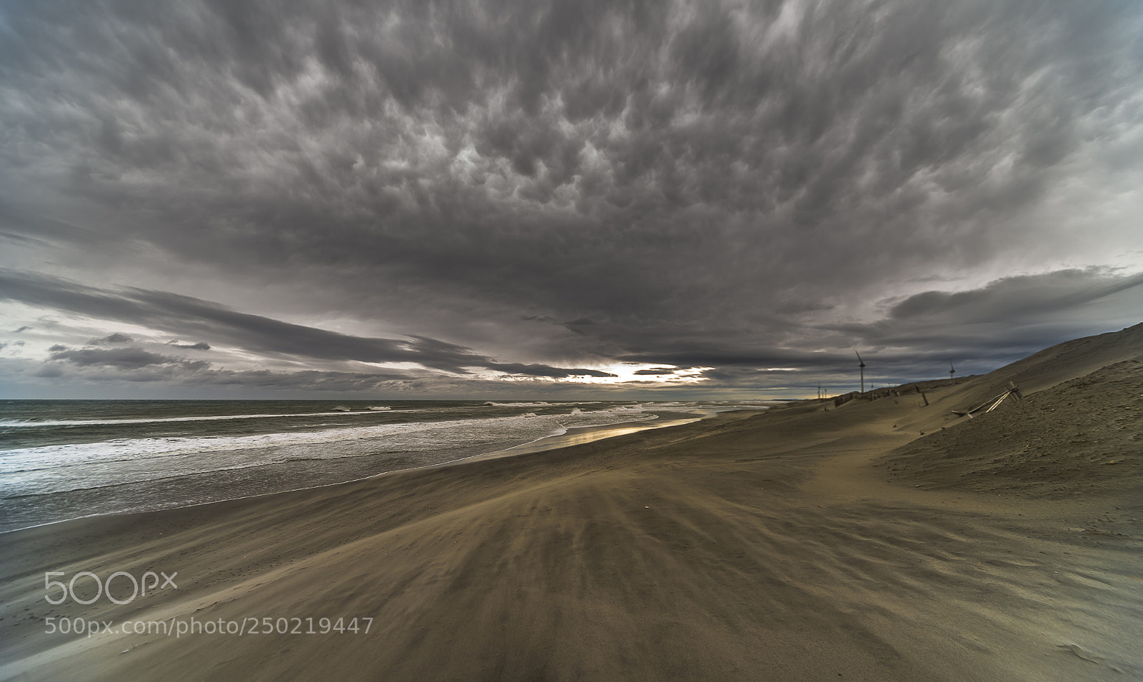 Nikon D800 sample photo. After the storm 1 photography