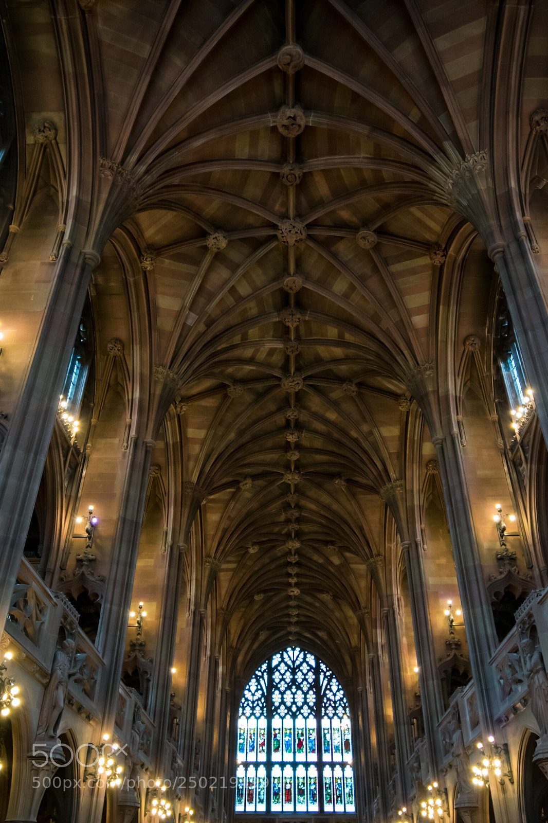 Nikon D3400 sample photo. John ryland's library photography