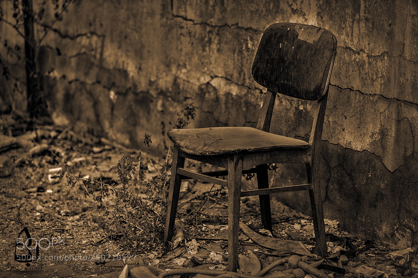 Canon EOS 5DS R sample photo. Untitled photography