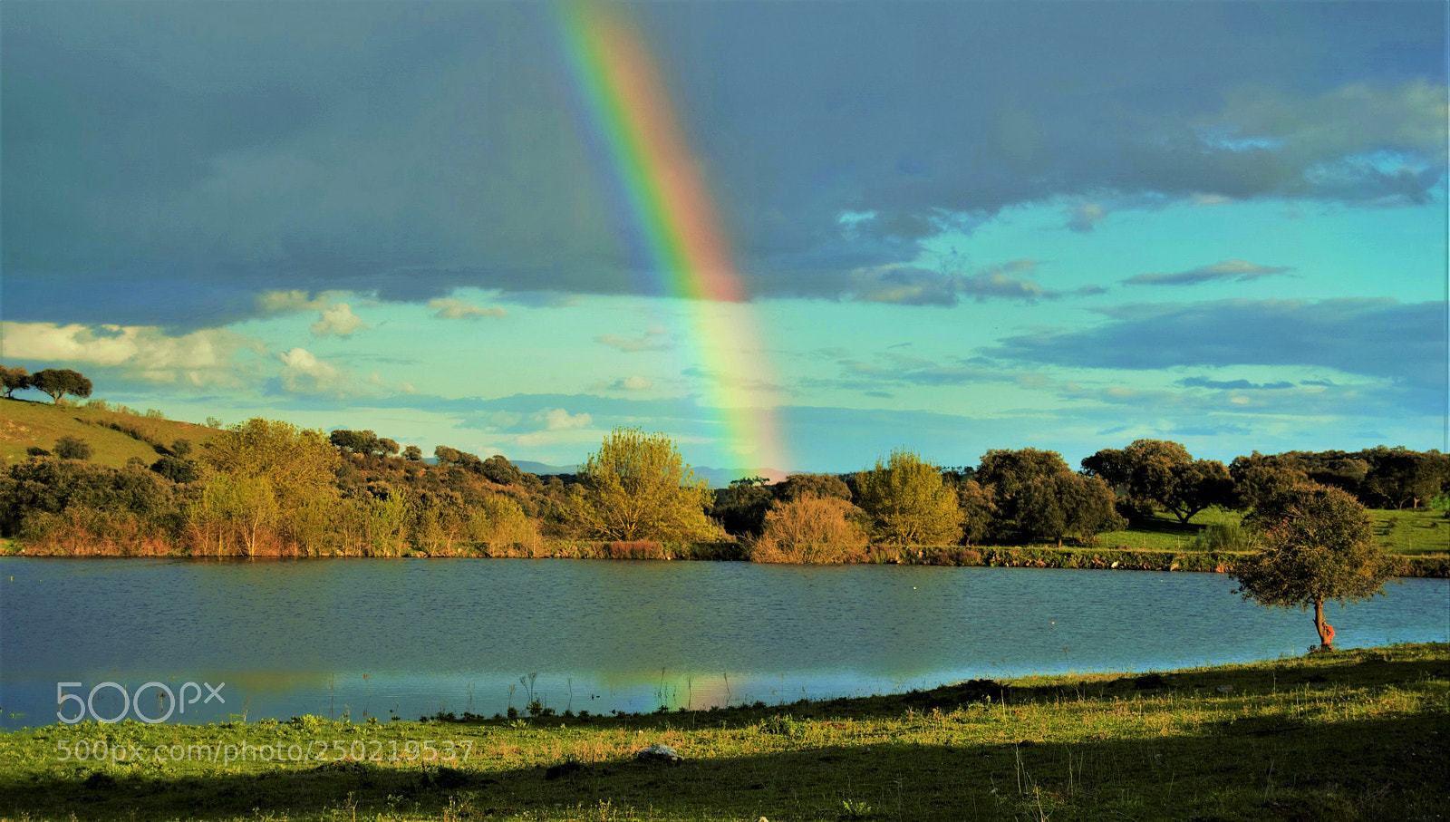 Nikon D3100 sample photo. Rainbow photography