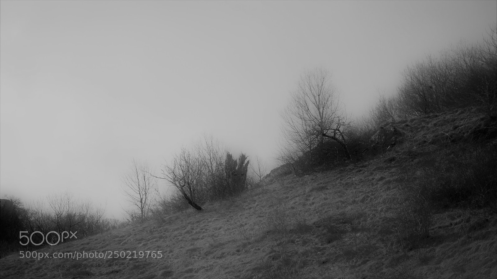 Nikon D3200 sample photo. Untitled photography