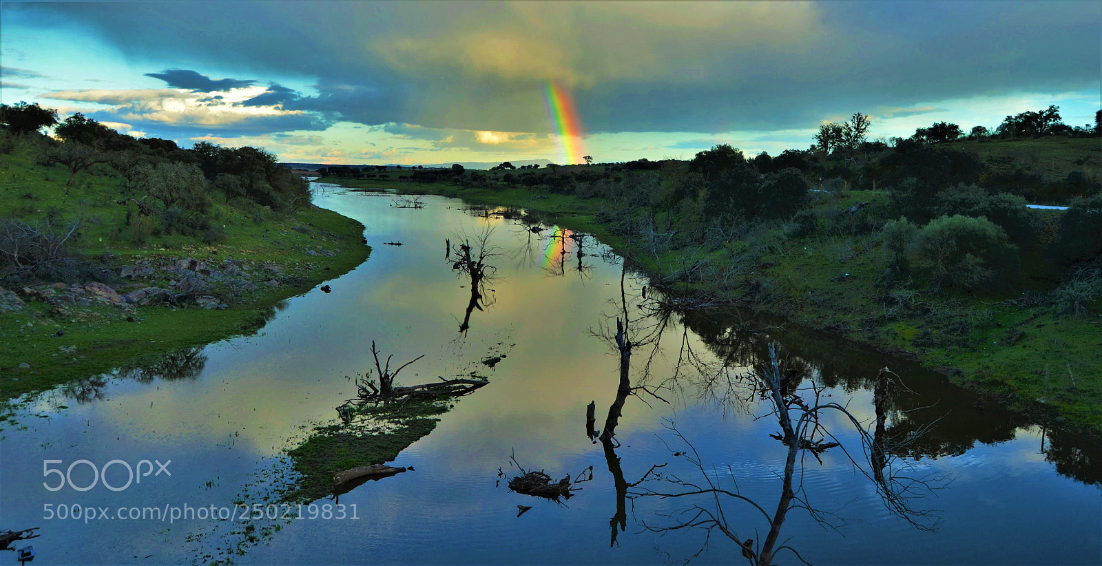 Nikon D3100 sample photo. Magic nature... photography