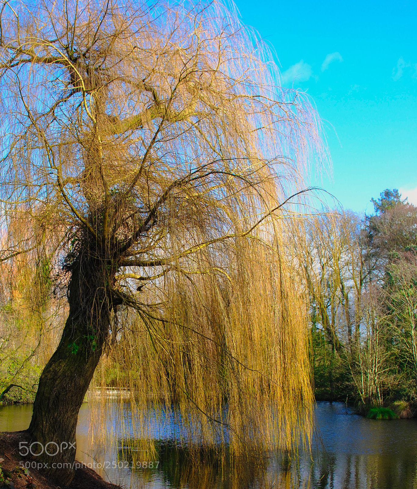Nikon D3000 sample photo. Testing the water photography
