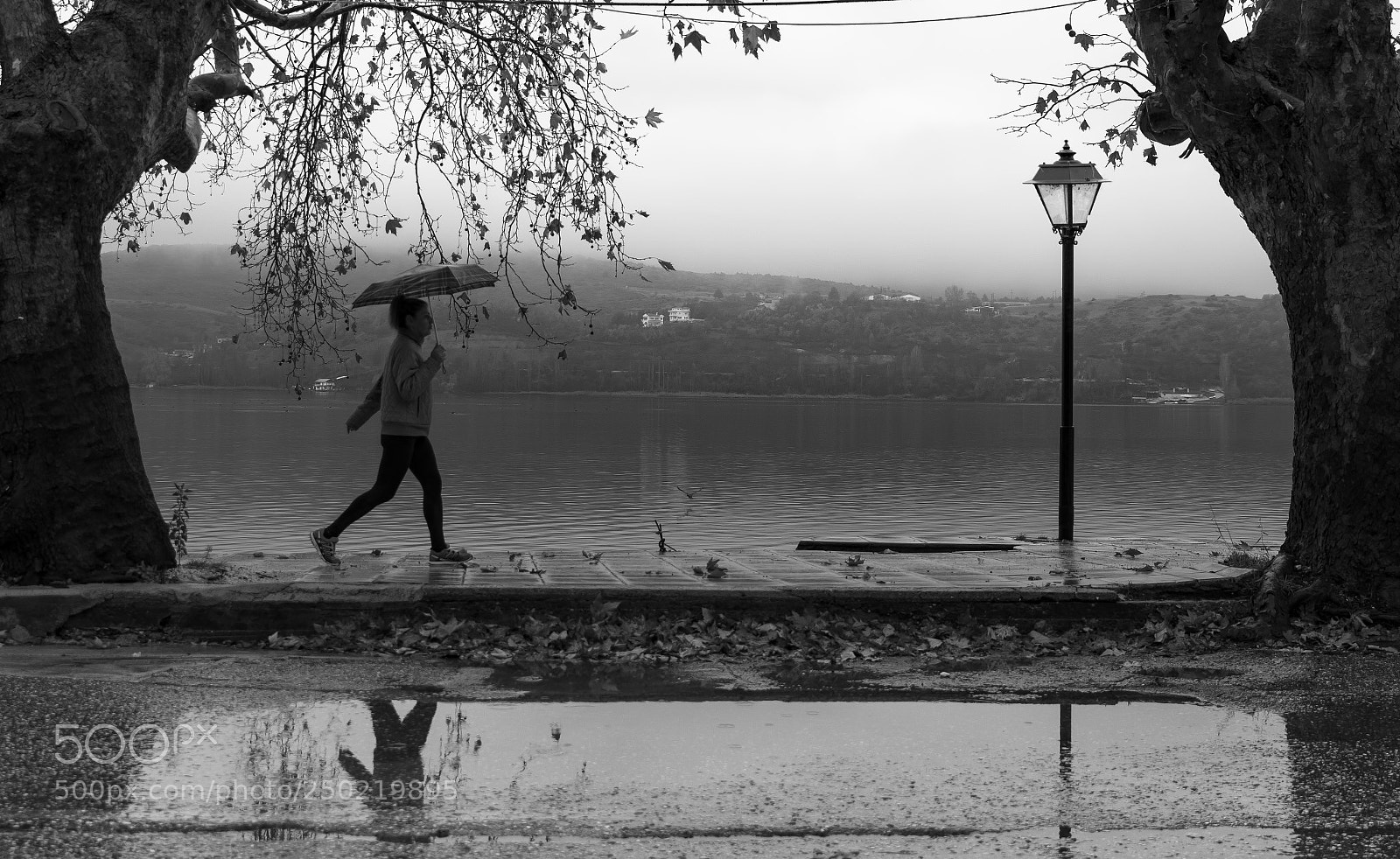 Nikon D5300 sample photo. Walking in the rain photography