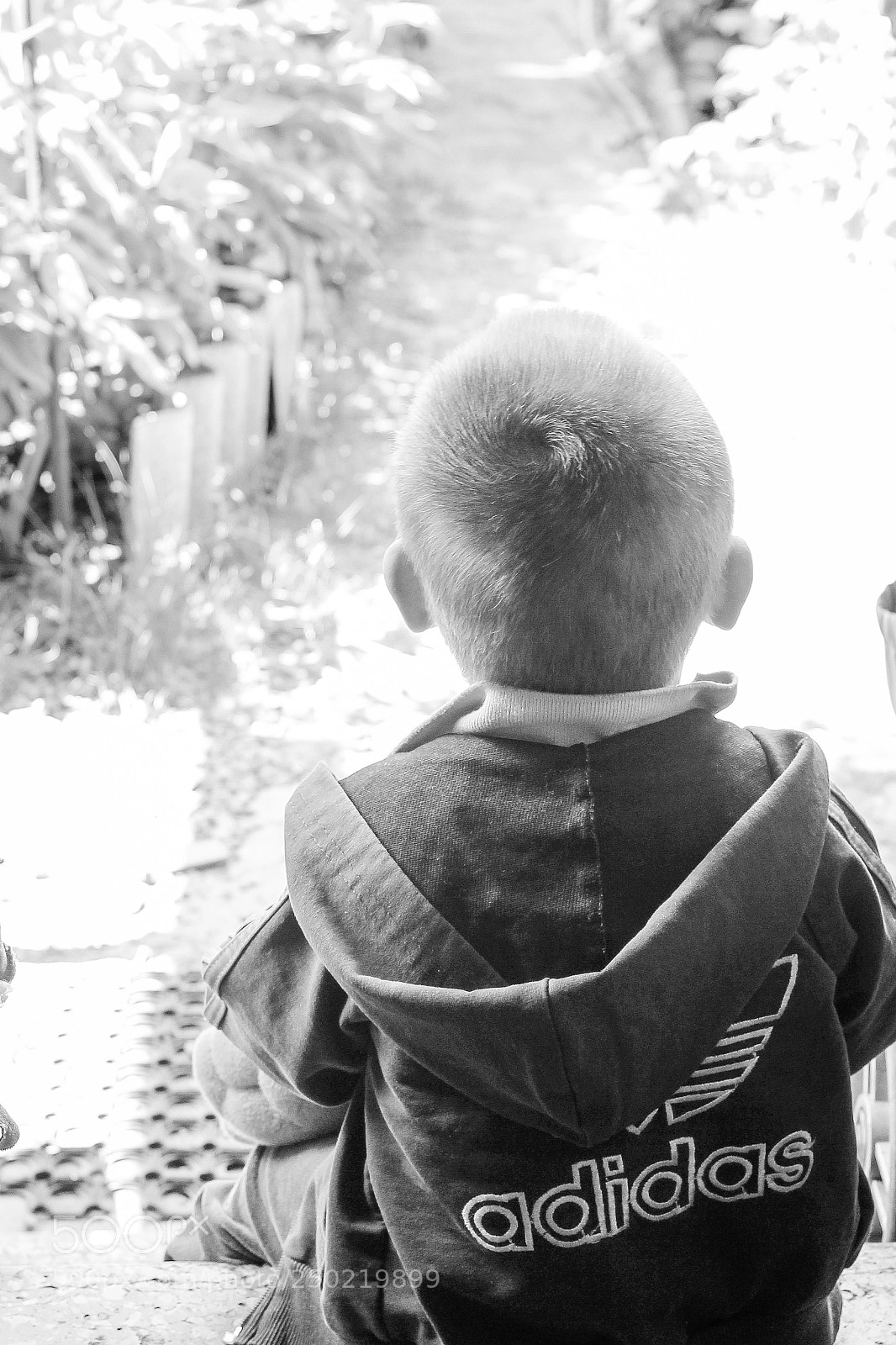 Canon EOS 600D (Rebel EOS T3i / EOS Kiss X5) sample photo. Dreaming about new way photography