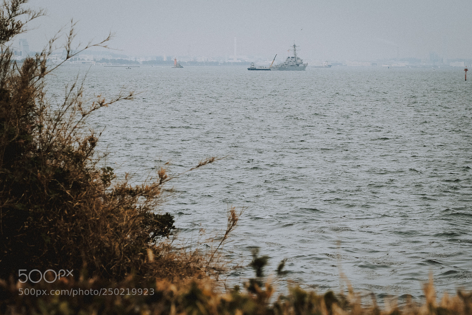 Fujifilm X-Pro2 sample photo. Untitled photography